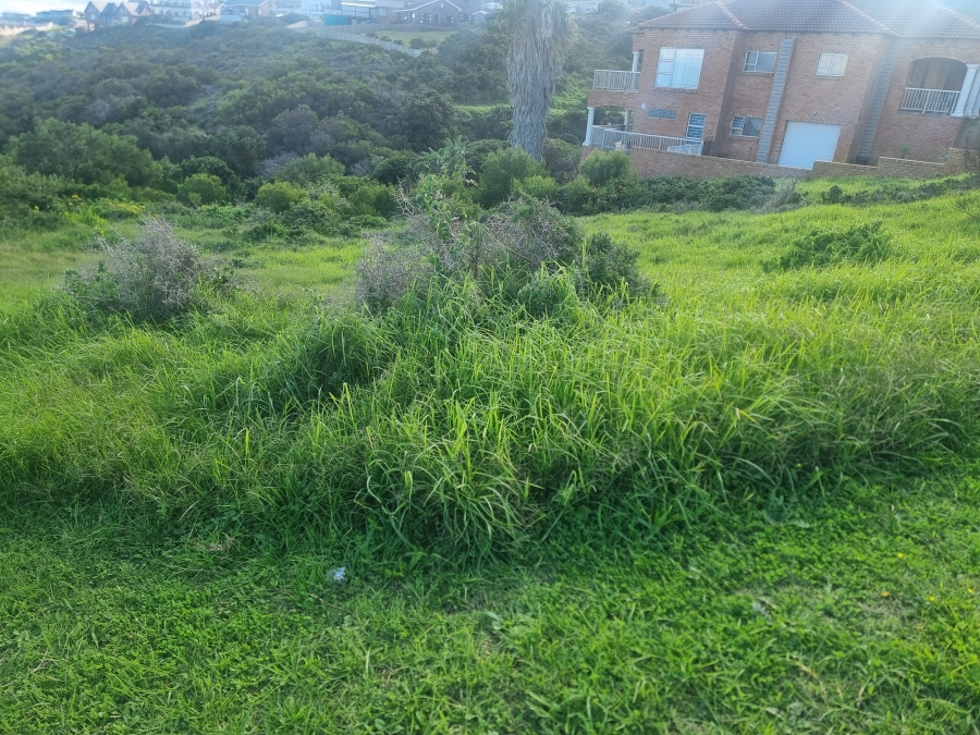 0 Bedroom Property for Sale in Dana Bay Western Cape